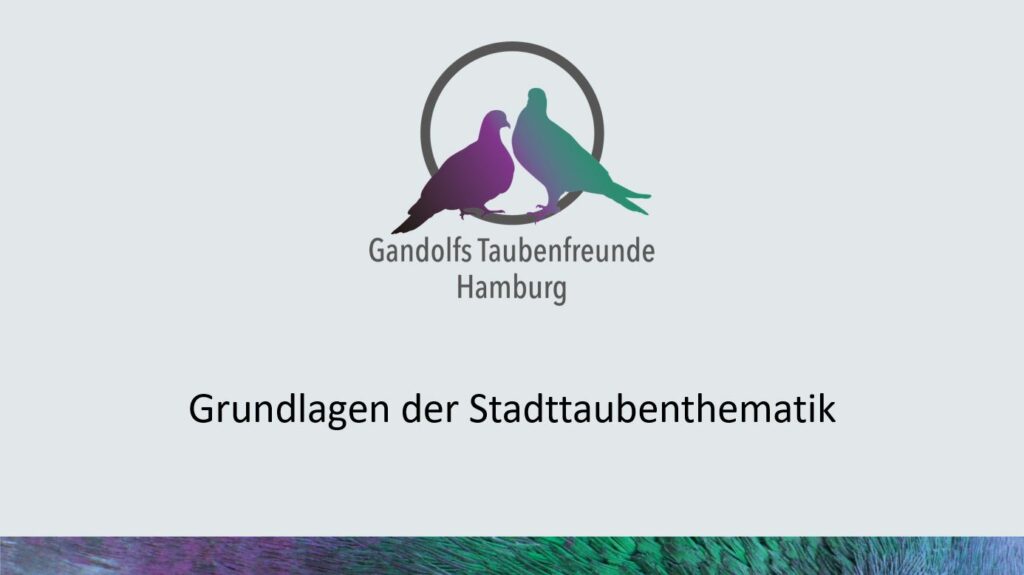 Grundlagen der Stadttaubenthematik 
